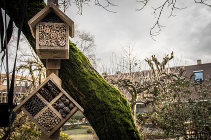 Insectenhotel voor duurzaamheid